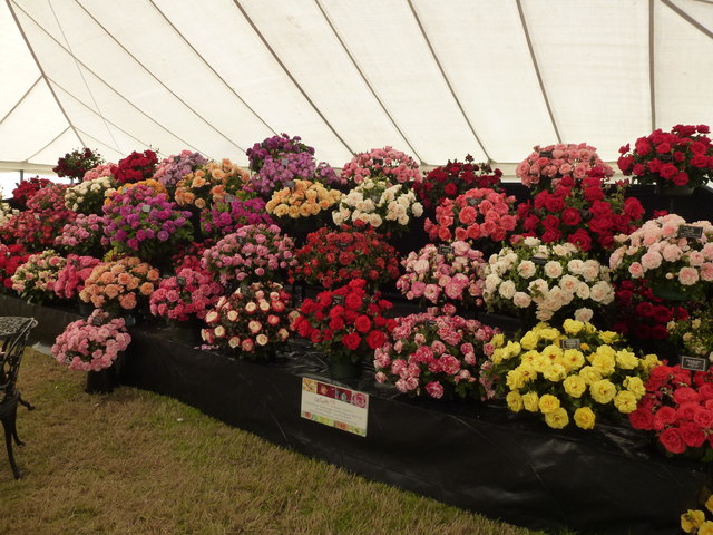 Sandringham Flower Show 