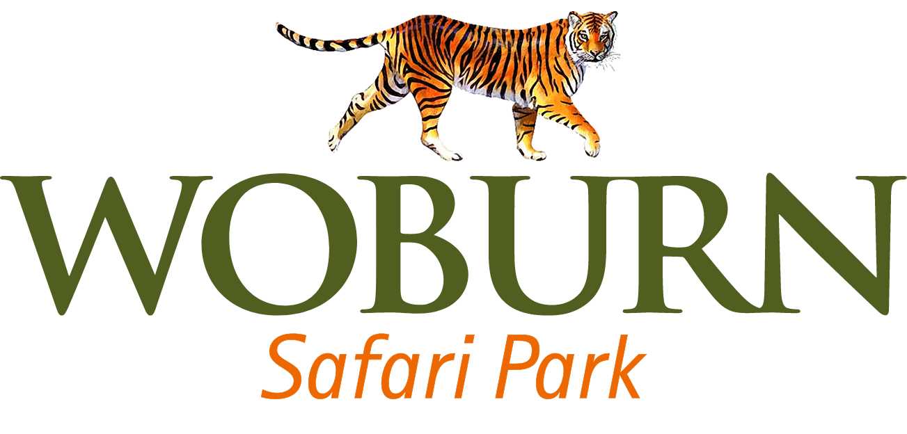 Woburn Safari Park 